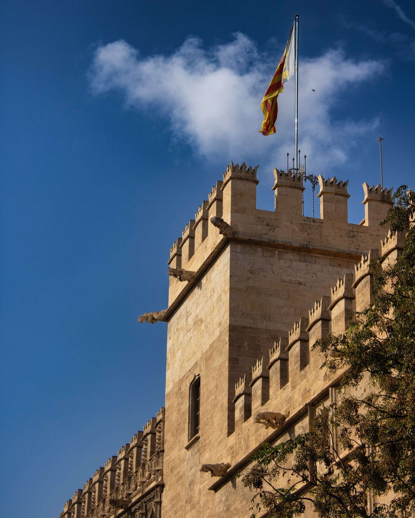 Lonja de Valencia, drapeau et ciel bleu